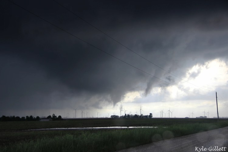 4ea9b1_d5adcdee60ed4d3ca18719a3a67debbb~mv2